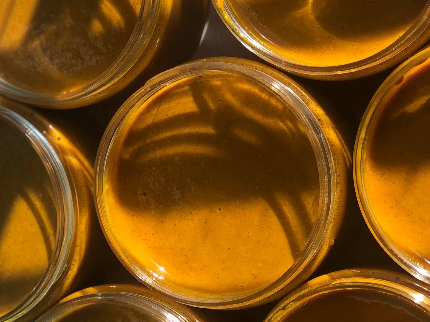 Turmeric Bundle.